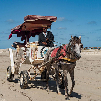 djerba caleche vers rass rmal l'ile des flamands rose et bateau pirate