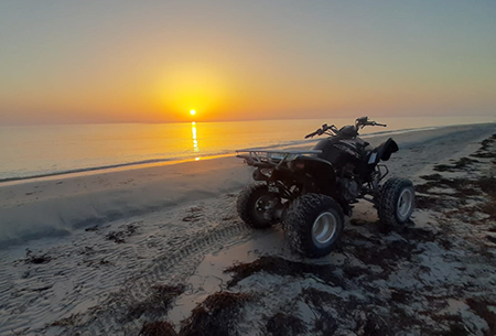 quad djerba