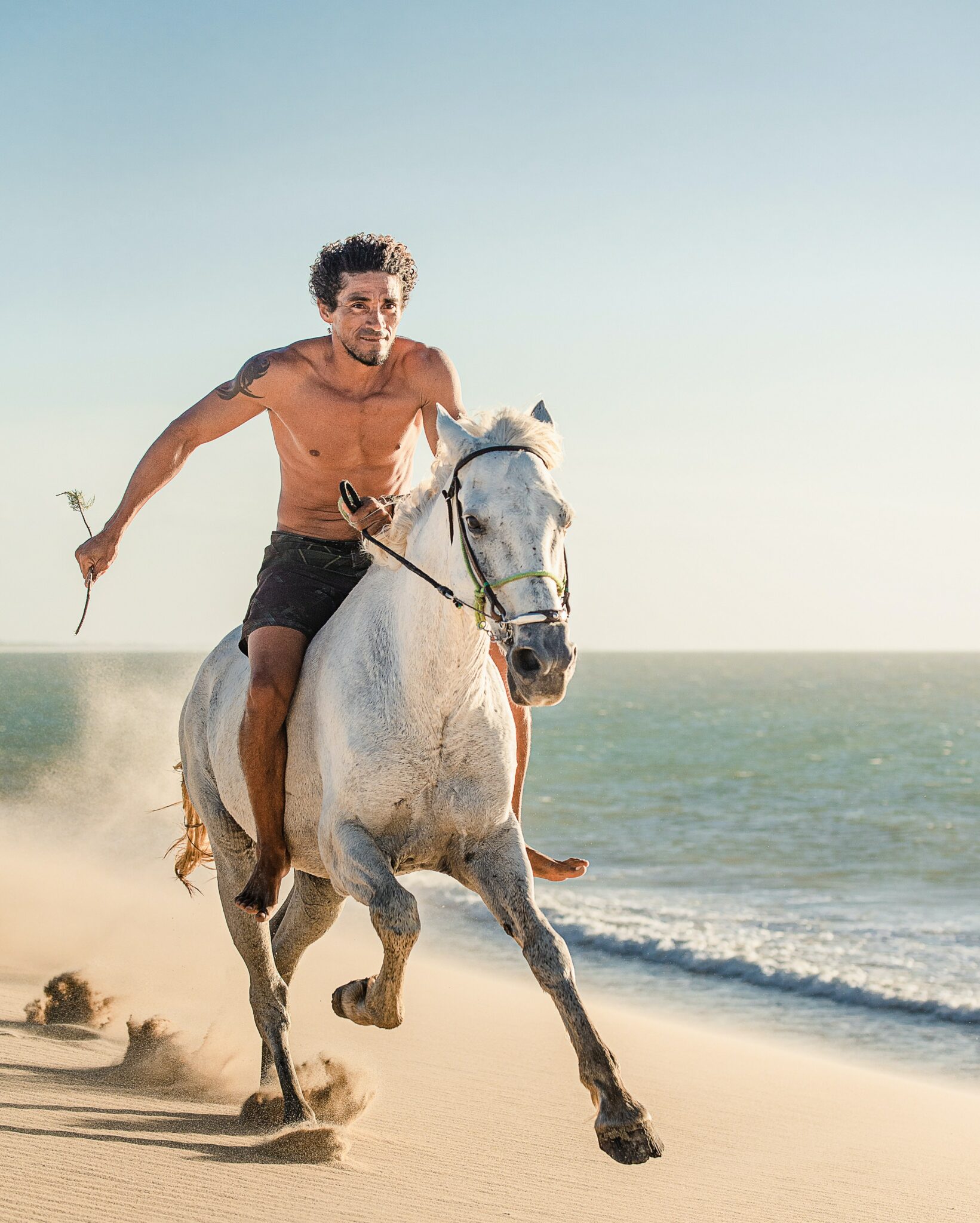 evasion avec cheval a djerba tunisie