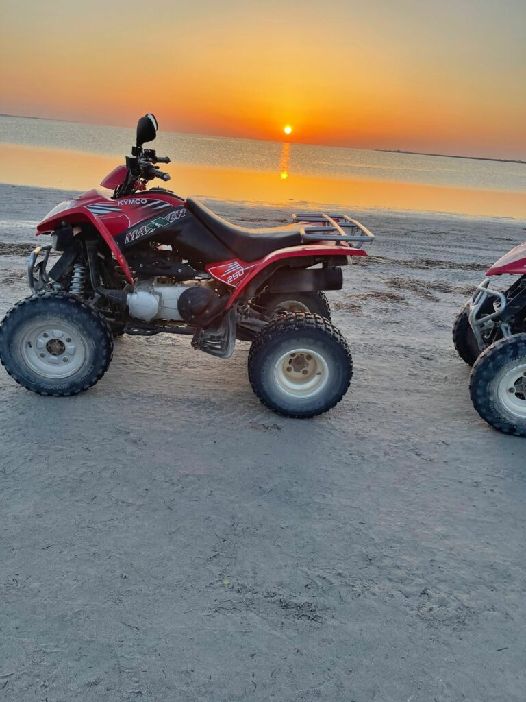 djerba quad excursion