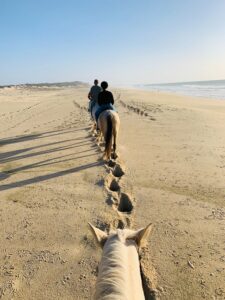 balade en cheval djerba