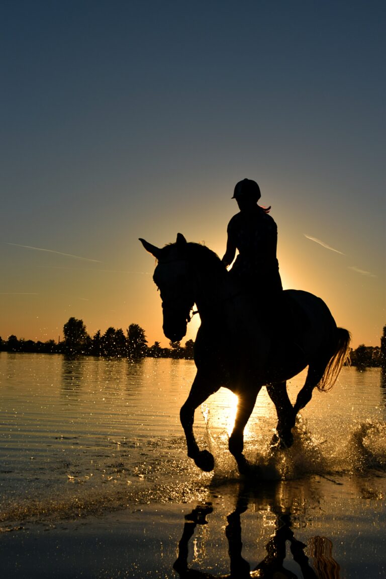 equitation djerba