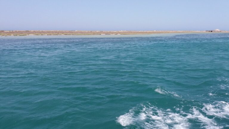 plage djerba