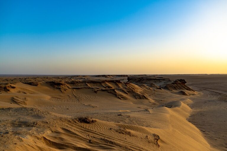 desert, sahara, oasis-djerba tunisia.jpg