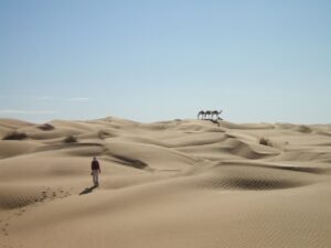 sahara, desert,price tunisia.jpg