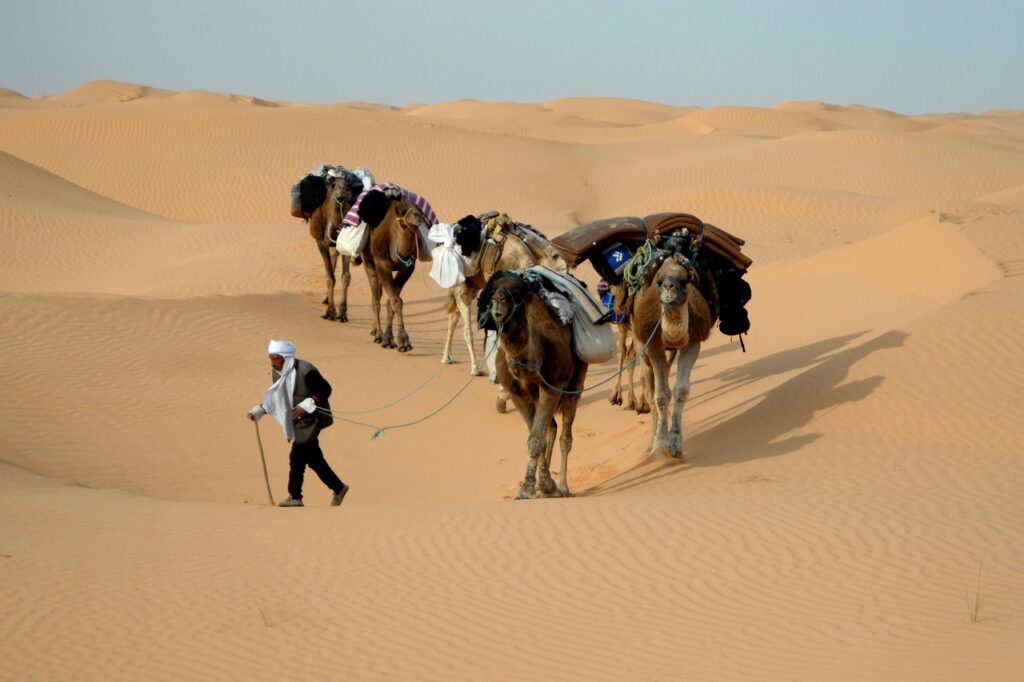 tunisia, caravan, desert-djerba