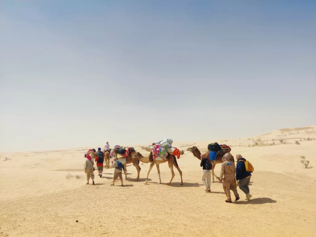 Prix excursion désert Tunisie