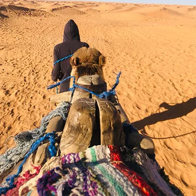 bivouac sahara tunisie