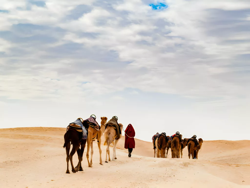 desert tunisien prix nuité