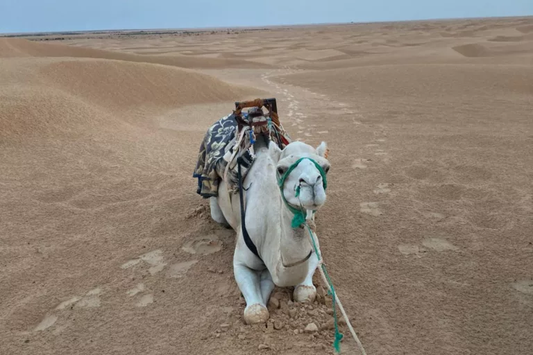 star wars tunisia desert djerba