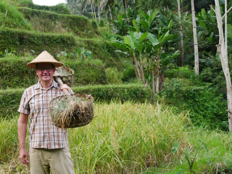 Bali Forêt des Singes et Rizières