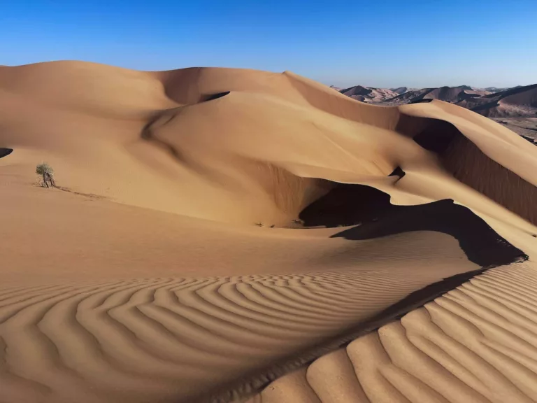 desert botuswana