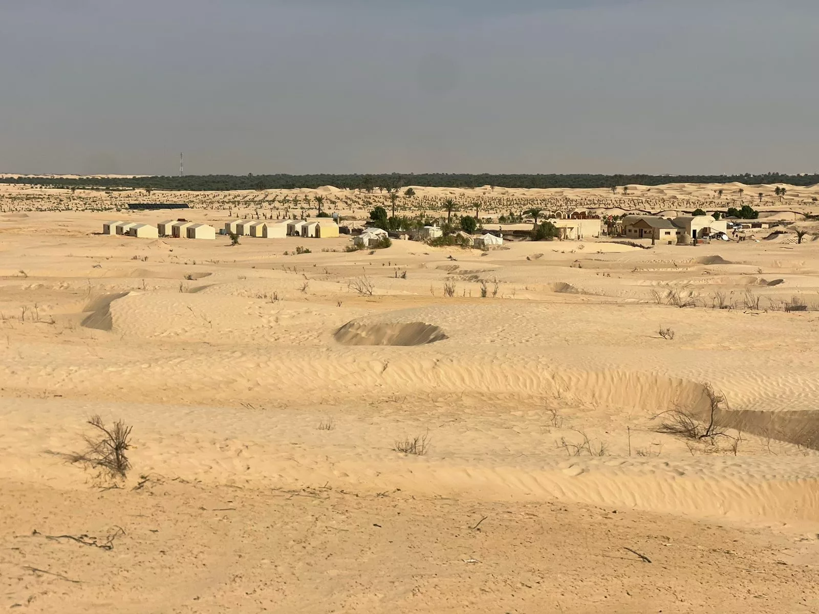 djerba desert sahara