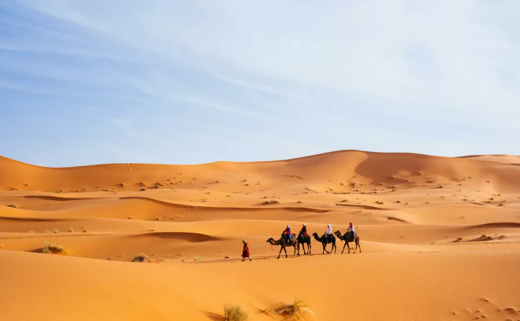 meilleur desert a visiter