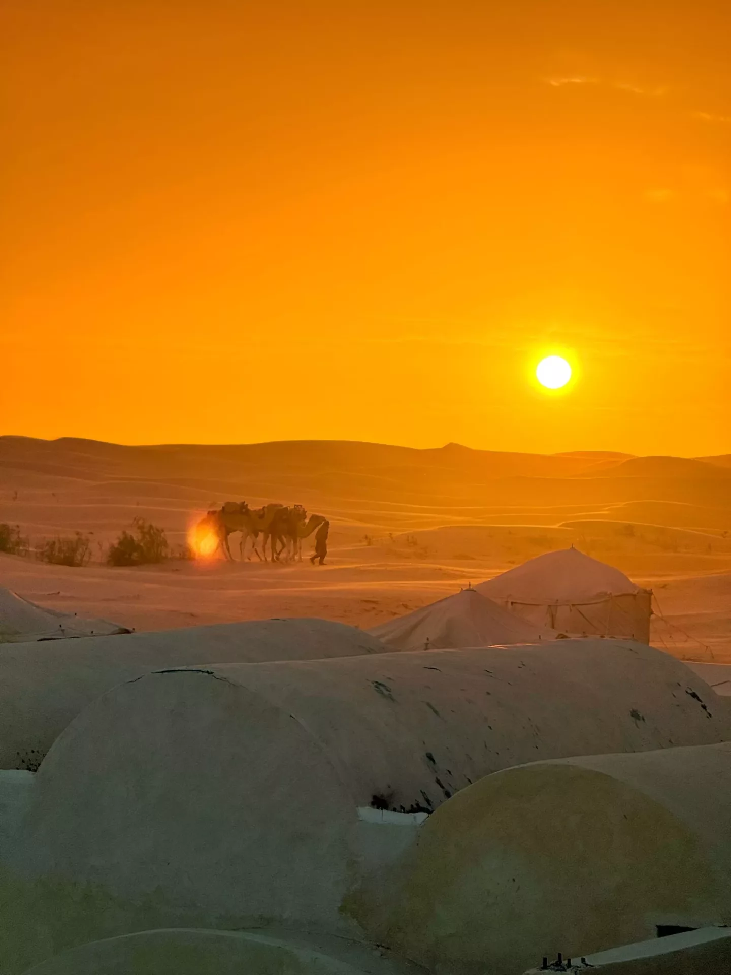 desert tunisie djerba