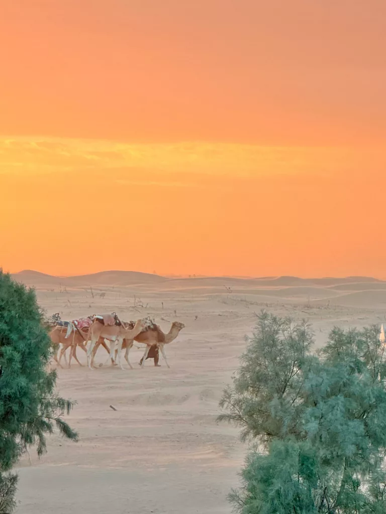 djerba excursion vers le desert