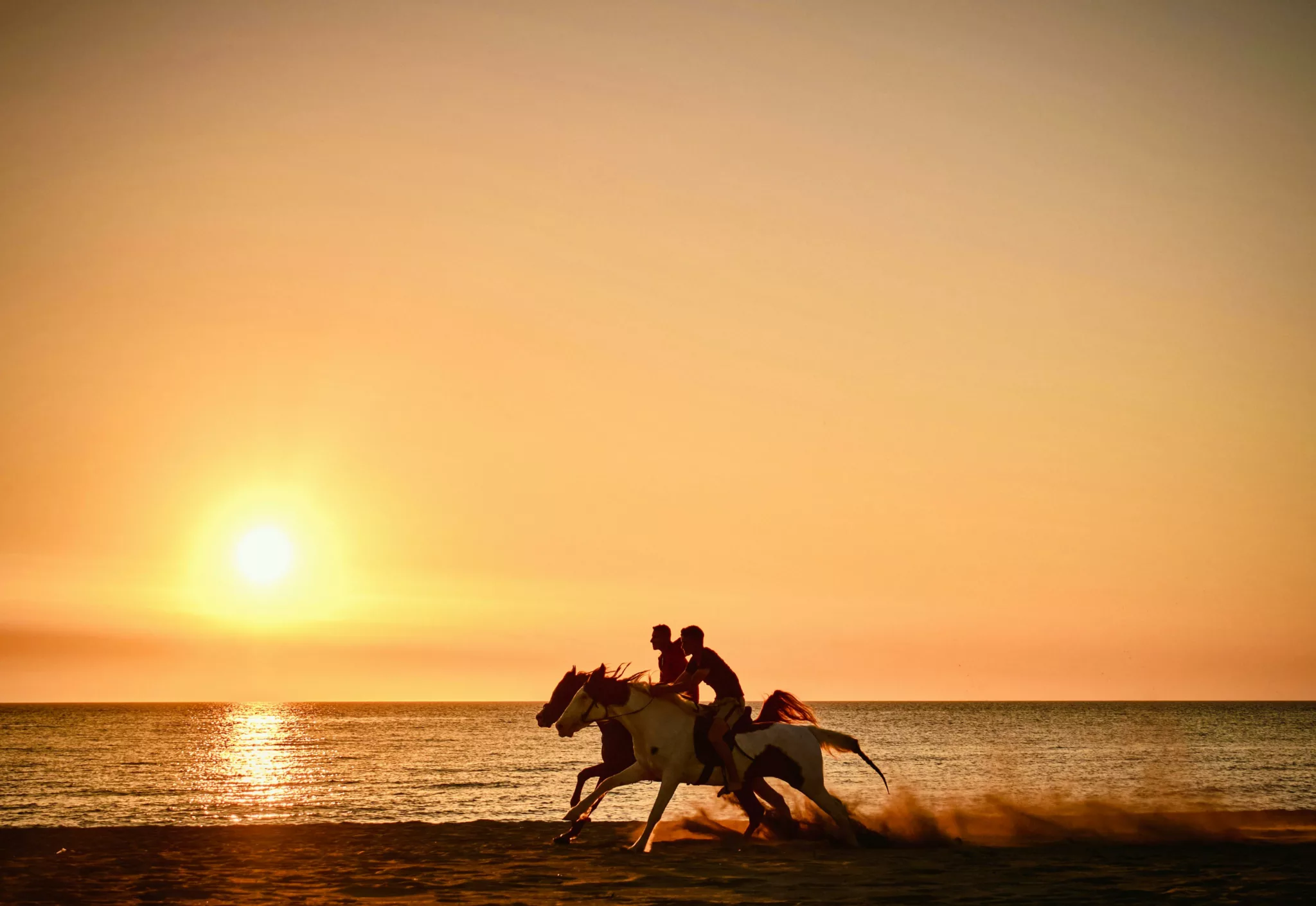 balade a cheval djerba