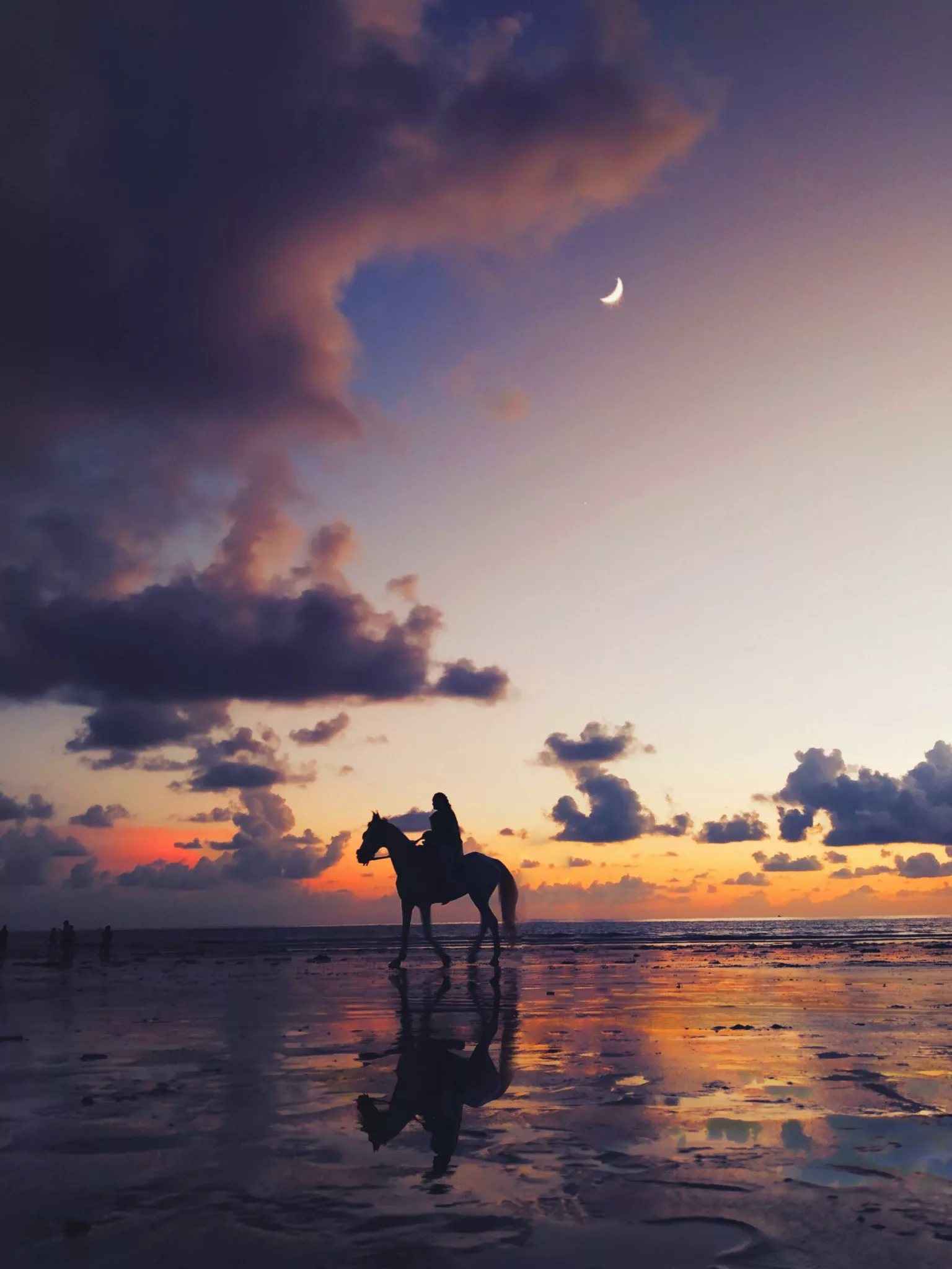 djerba balade a cheval