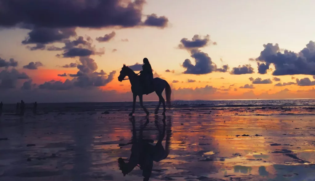 djerba balade a cheval