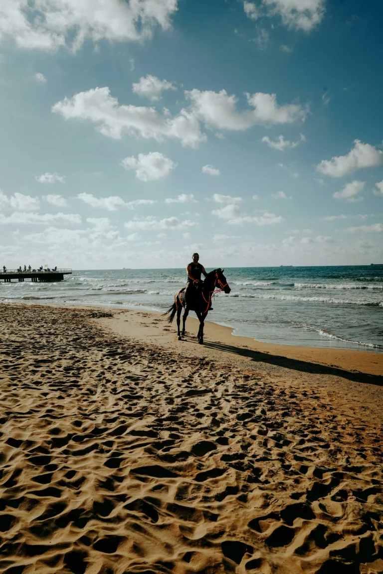 balade cheval djerba