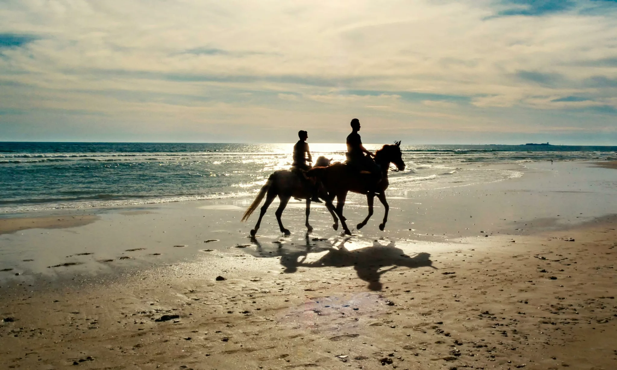 balade cheval djerba