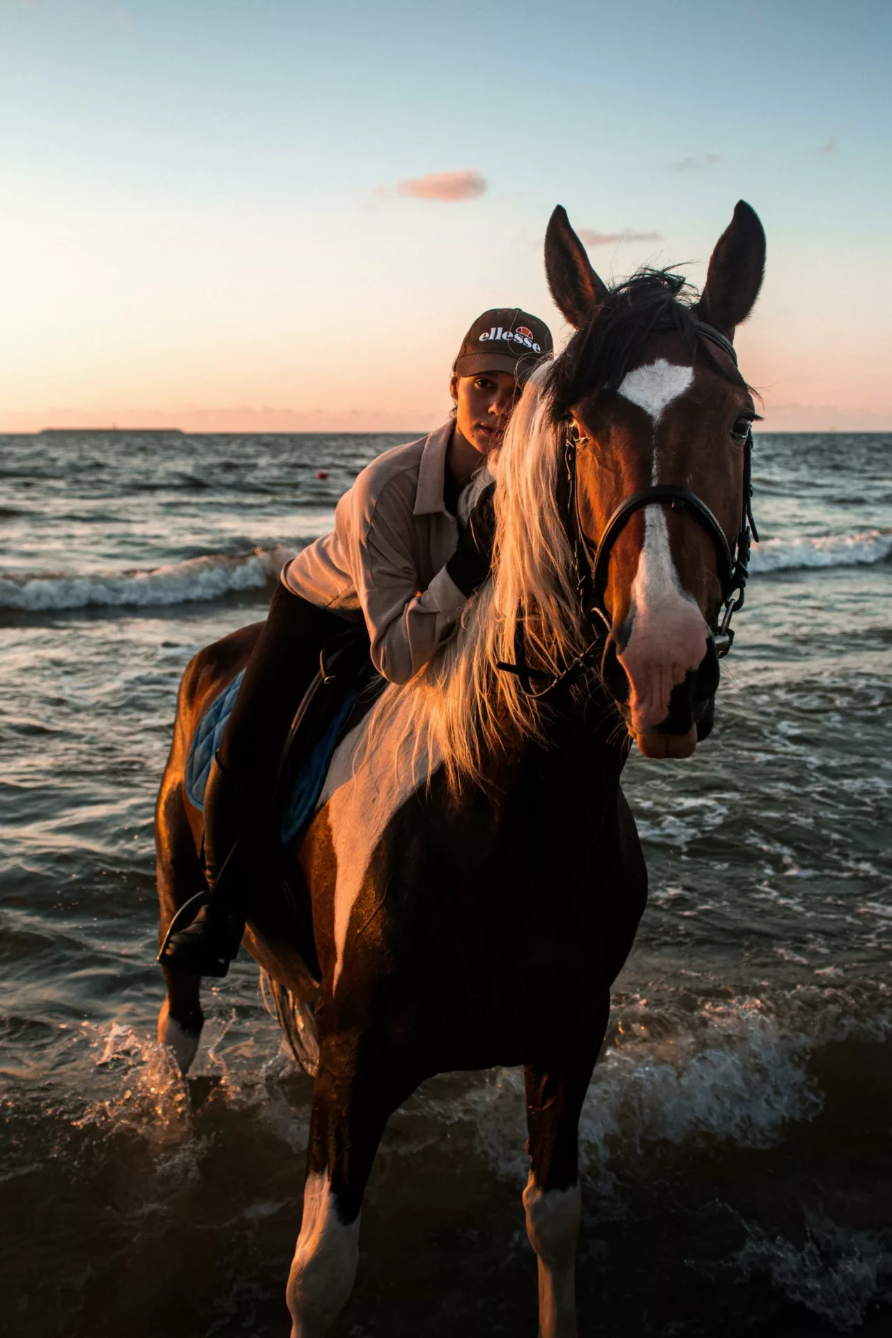 activites djerba equitation