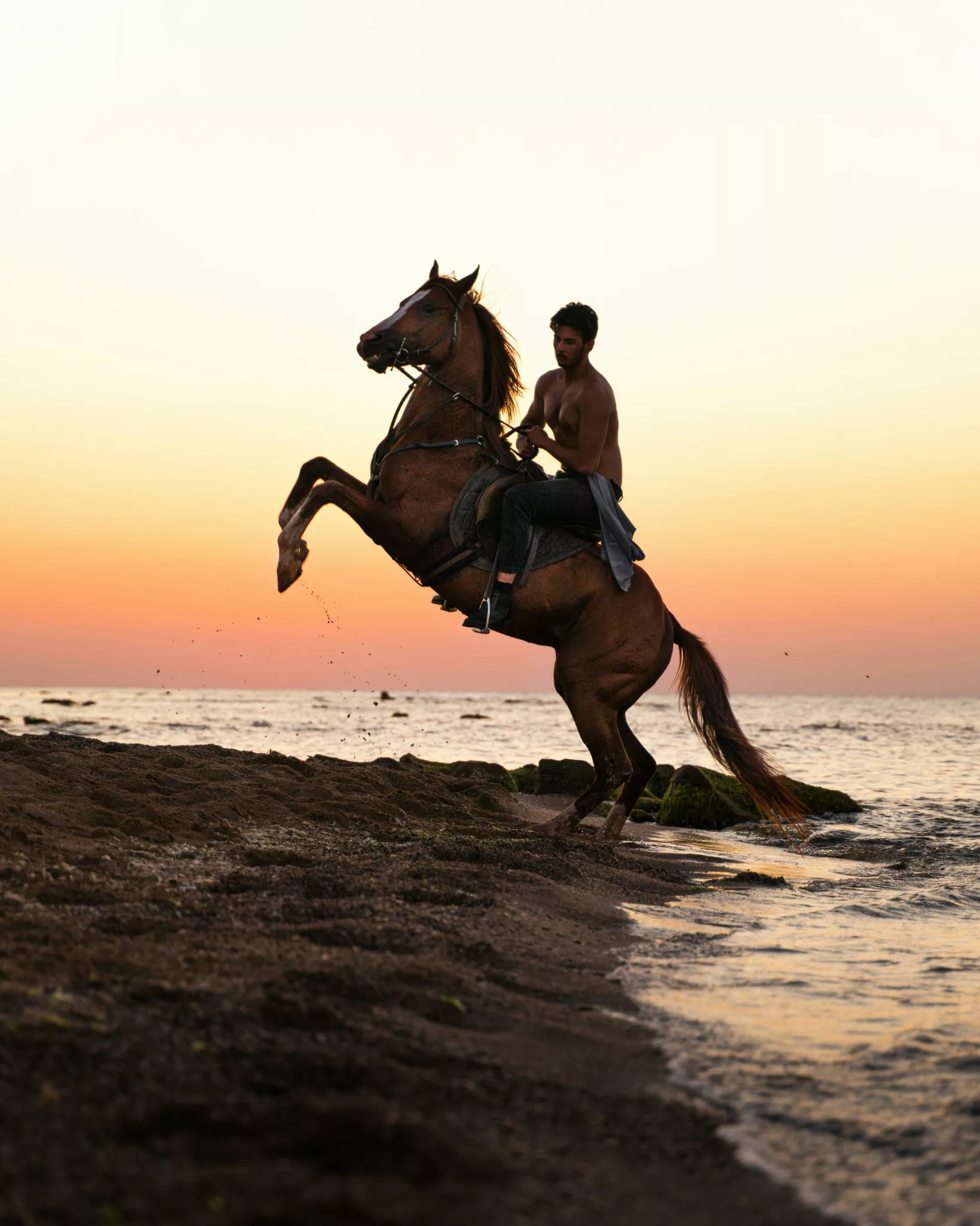 balade a cheval djerba