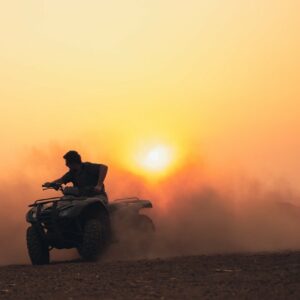 quad djerba 3h excursion flamand roses