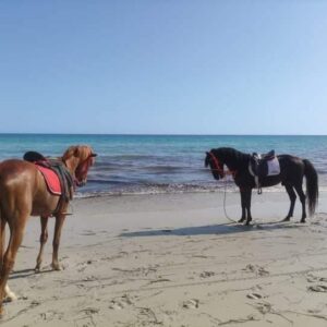 equitation sur plage
