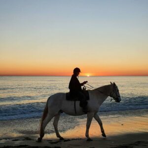 sunset sur cheval a djerba