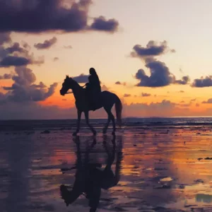 djerba balade a cheval