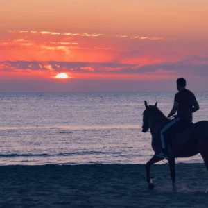 balade a cheval djerba