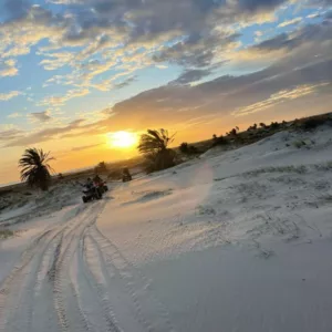 djerba quad tour (13)