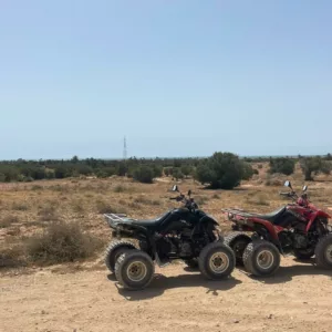 djerba quad tour (6)