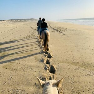 balade en cheval djerba