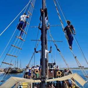 Excursion En Bateau Pirate vers L’île des Flamands Rose Djerba - Djerba ...