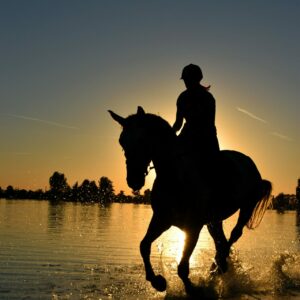 equitation djerba