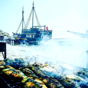 Excursion En Bateau Pirate vers L’île des Flamands Rose Djerba – Djerba ...
