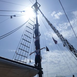 Excursion En Bateau Pirate vers L’île des Flamands Rose Djerba – Djerba ...